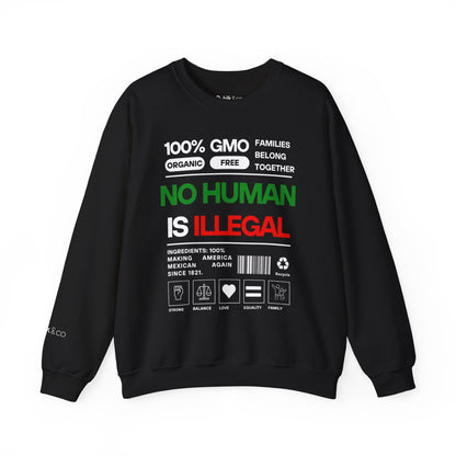 No Human Is Illegal Sweatshirt - Urban Protest Unity Street Wear Crewneck