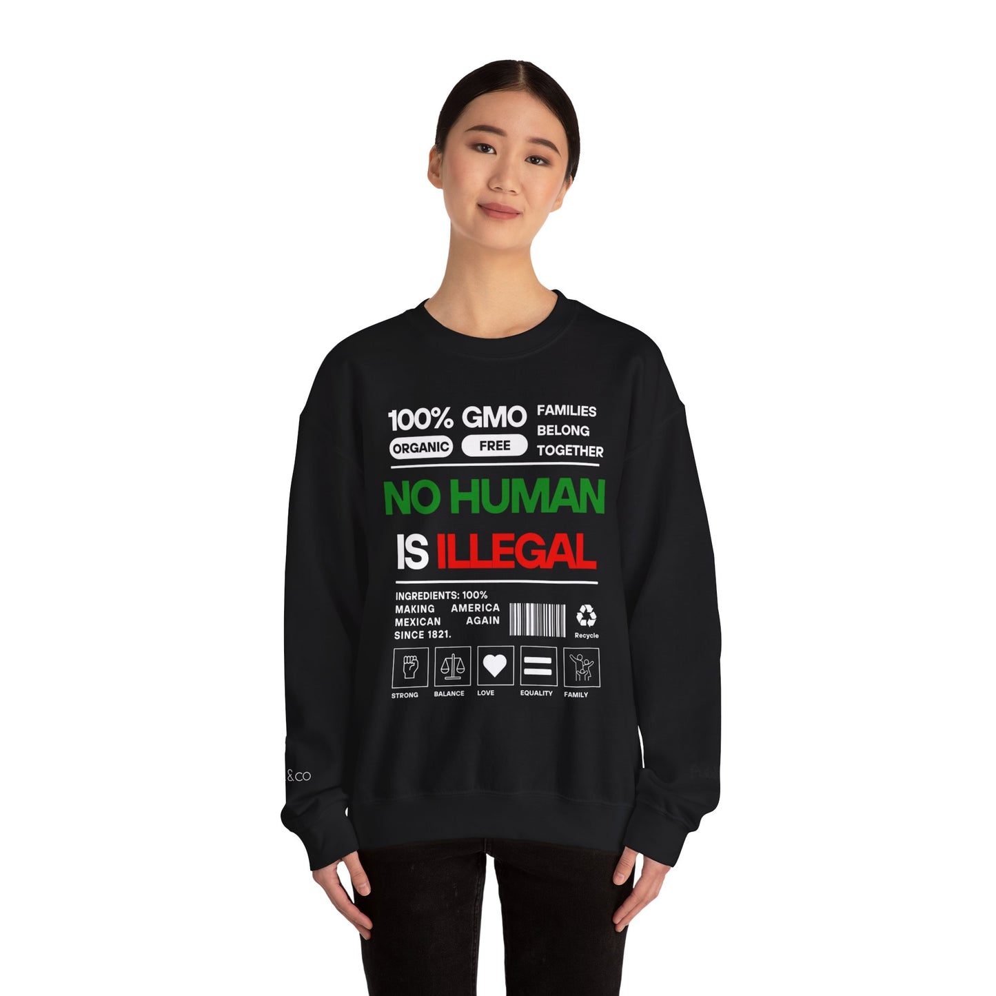 No Human Is Illegal Sweatshirt - Urban Protest Unity Street Wear Crewneck