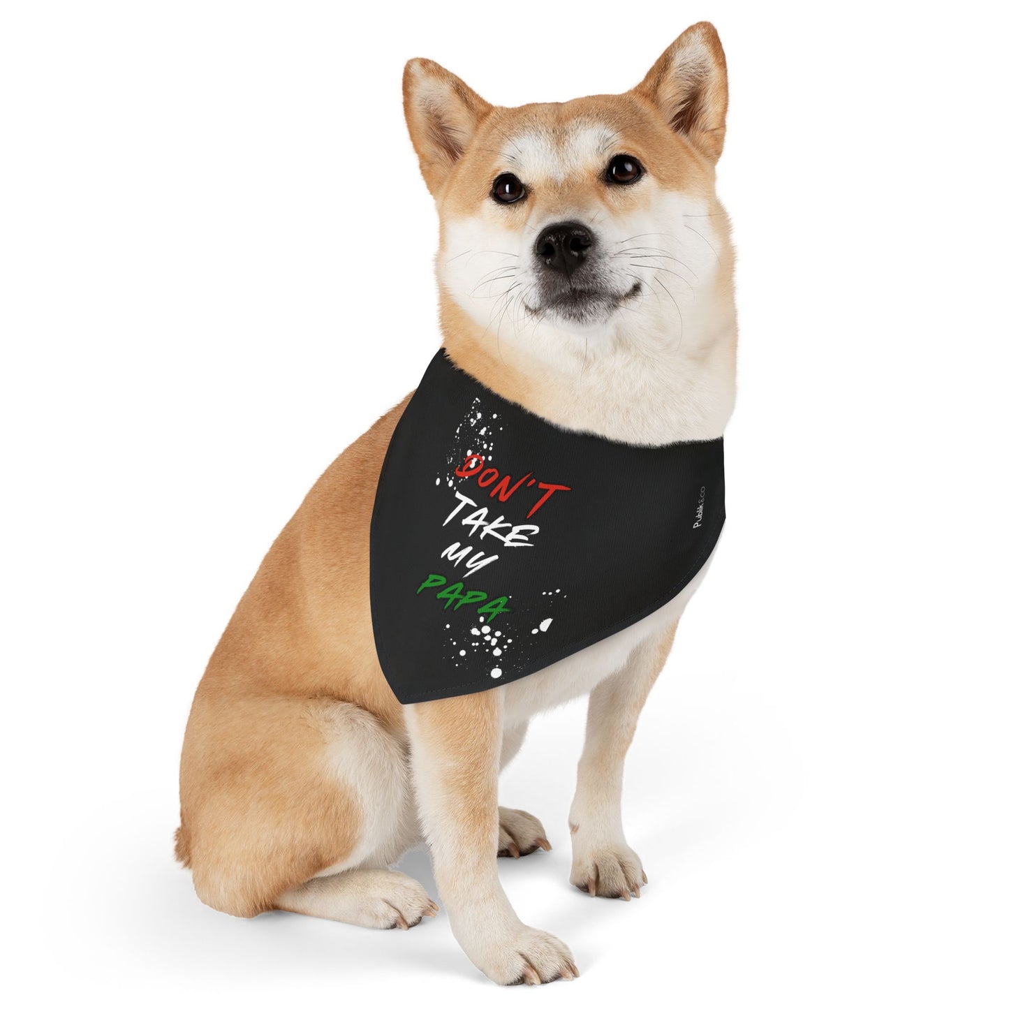 Don't Take My Papa - Pet Graffiti Bandana Collar